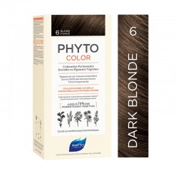 Phytocolor 6 Dark Blonde