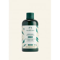 Conditioner Ginger 250ml A0x