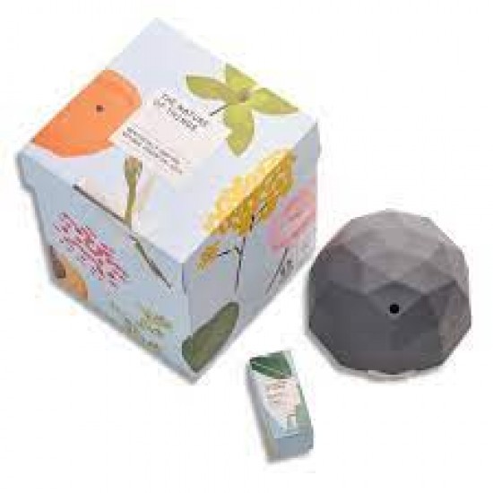 The Nature of Things -Gift Set - Home Office Plus (Colours May Vary)